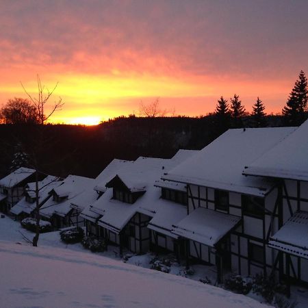 Zum Hirsch Vila Winterberg Exterior foto